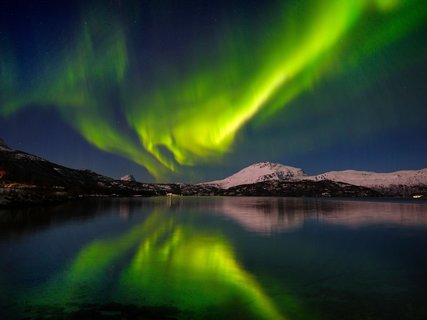 Nordlicht_Insel_Senja_Norwegen_©_Martin_Zwick_Naturfoto