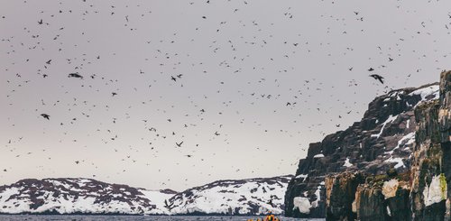 Spitsbergen_in_Depth_Polar_Bear_Svalbard_©_David_Merron_Quark_Expeditions