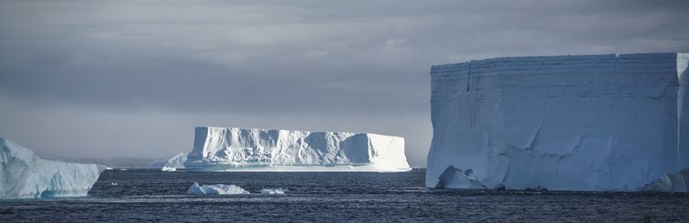 Ice_Weddell_Sea_Antarctica_©_Dietmar_Denger_Oceanwide_Expeditions