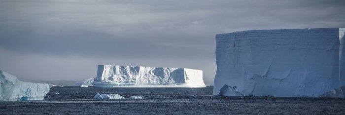 Ice_Weddell_Sea_Antarctica_©_Dietmar_Denger_Oceanwide_Expeditions