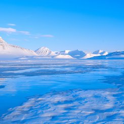 Gronfjorddalen_Nordenskioeld_Land_Spitzbergen_Norwegen_©_Martin_Zwick_Naturfoto