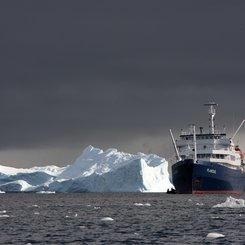 MV_Plancius_Antarctica_©_Robert_van_Kempen_Oceanwide_Expeditions