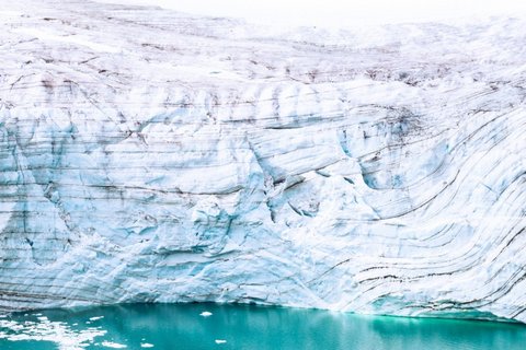 Glacier_Bear_Rudolph_Island_Franz_Josef_Land_©_Ko_de_Korte_Oceanwide_Expeditions