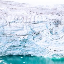 Glacier_Bear_Rudolph_Island_Franz_Josef_Land_©_Ko_de_Korte_Oceanwide_Expeditions