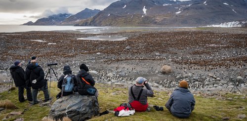 South_Georgia_Overview_©_Rodrigo_Moraga_Antarctica21